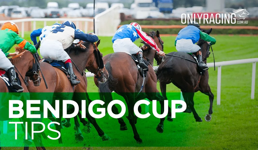 Bendigo Cup