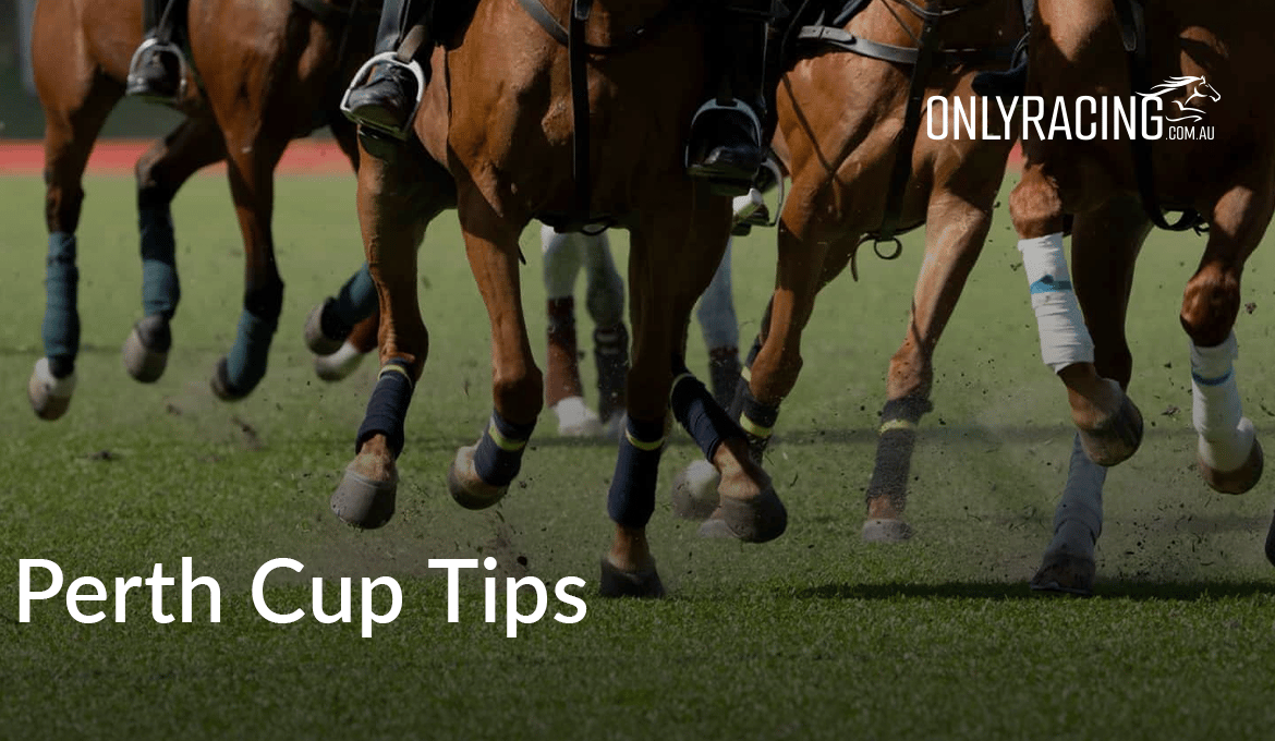 Perth Cup Tips