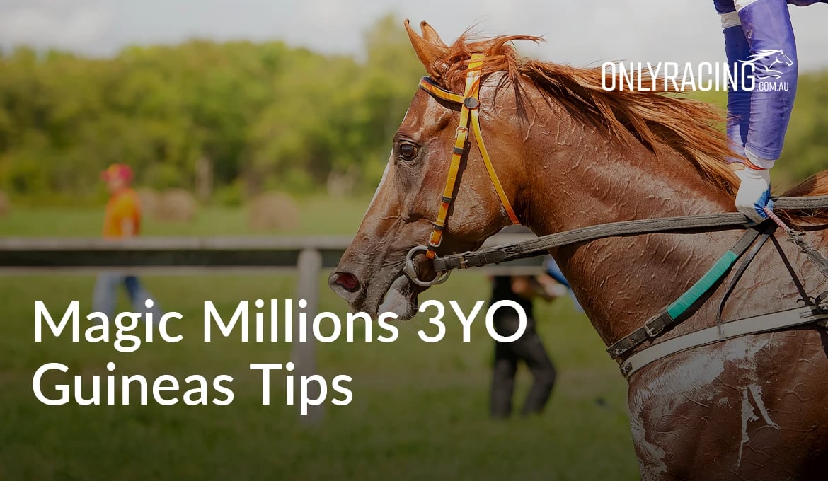 Magic Millions 3YO Guineas Tips