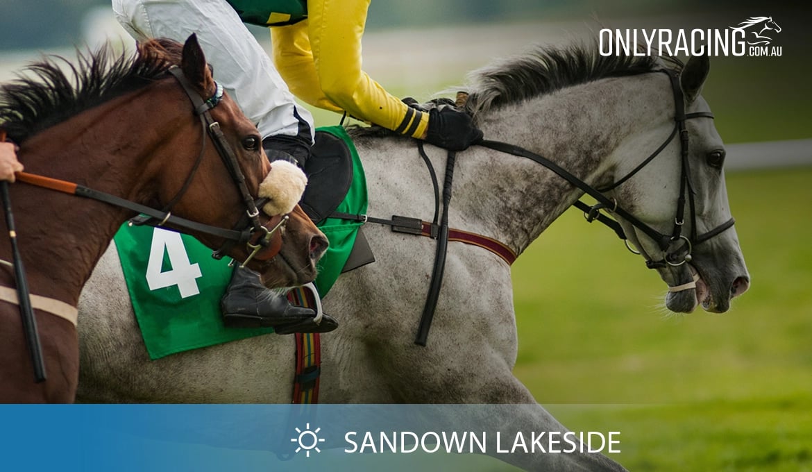 Sandown Lakeside Racecourse 21/02/24