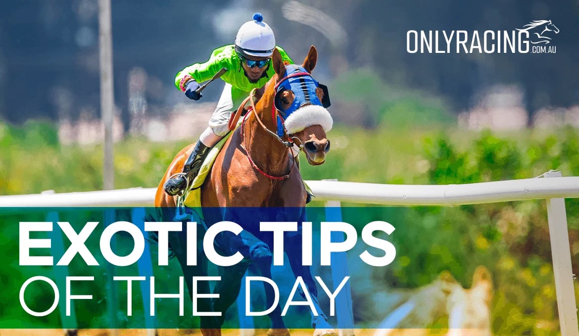 Exotic Tips of the Day