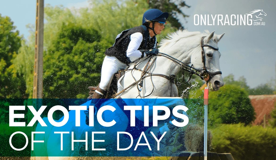 Exotic Tips of the Day
