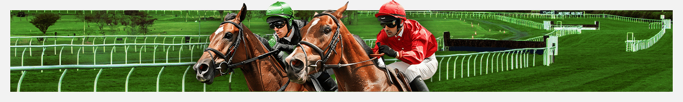 Top Horse Racing Tracks in Australia