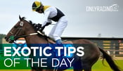 Exotic Tips of the Day