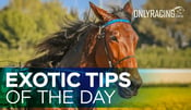 Exotic Tips of the Day