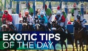 Exotic Tips of the Day