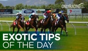 Exotic Tips of the Day