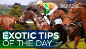 Exotic Tips of the Day