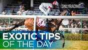 Exotic Tips of the Day