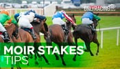 Moir Stakes