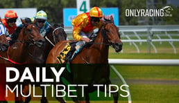 Best Multibet Tips of the Day