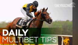 Best Multibet Tips of the Day