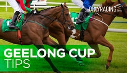 Geelong Cup