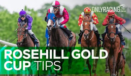 Rosehill Gold Cup