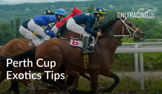 Perth Cup Exotics Tips