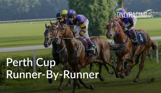 Perth Cup Runner By Runner Preview