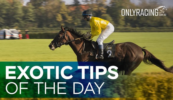 Exotic Tips of the Day