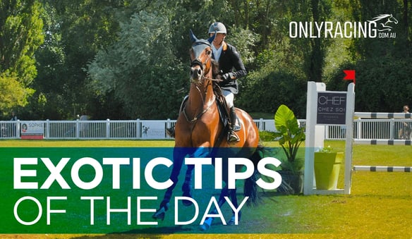 Exotic Tips of the Day