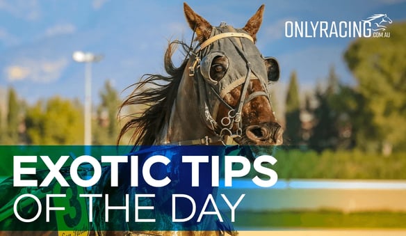 Exotic Tips of the Day