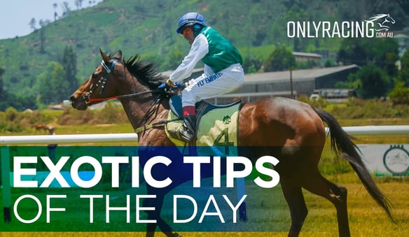 Exotic Tips of the Day