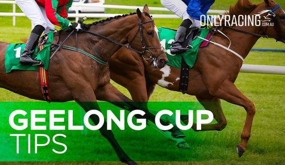 Geelong Cup