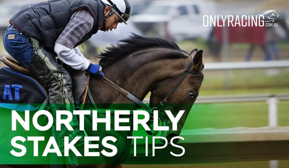 Notherly Stakes Tips