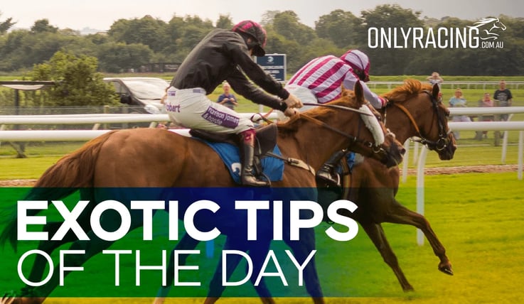 Exotic Tips of the Day